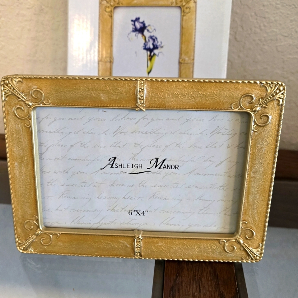 NEW Ashleigh Manor gold polished frame